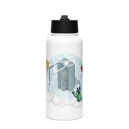Stainless steel water bottle with a straw lid